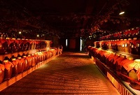 ʲô׾ƾƽѱȰ׾ƾƿƸ